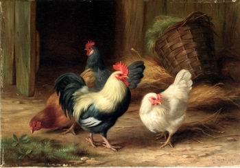 unknow artist Cocks 078 Spain oil painting art